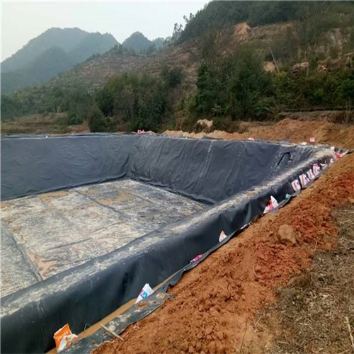 您了解魚塘防滲膜施工方法有哪些嗎？